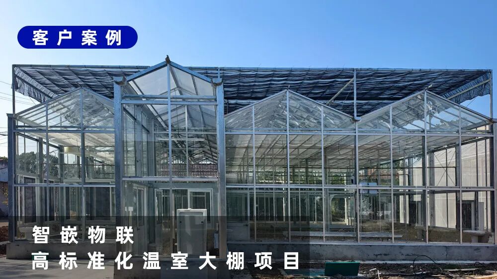 【智慧农业】智嵌云平台助力上海市植物检疫隔离场，打造高标准化农业大棚项目！
